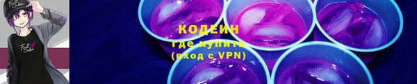 мдпв Фёдоровский