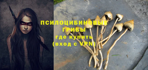 мдпв Фёдоровский